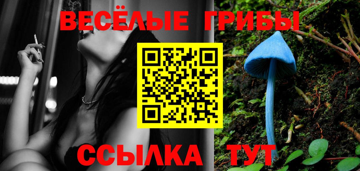 Сочи  Галлюциногенные грибы Psilocybine cubensis  Вход с VPN 