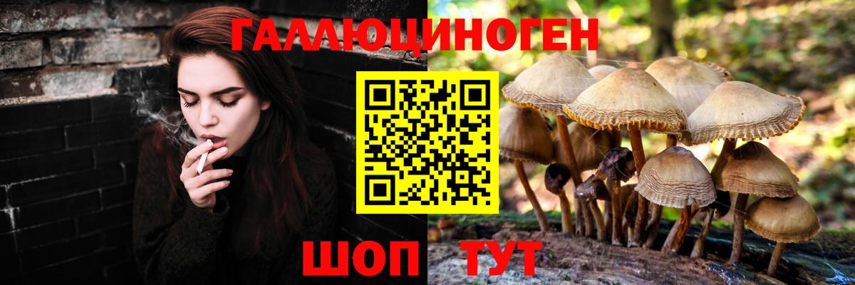 Галлюциногенные грибы GOLDEN TEACHER Сочи